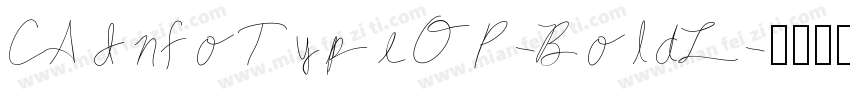 CA InfoTypeOP-BoldL字体转换